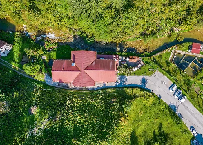 In Cabar With Wifi *